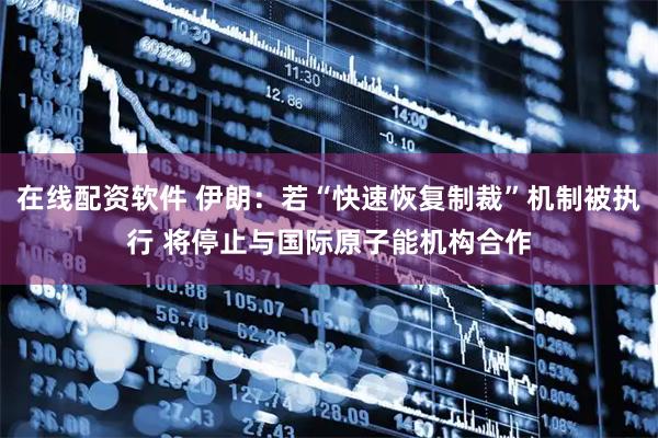 在线配资软件 伊朗：若“快速恢复制裁”机制被执行 将停止与国际原子能机构合作